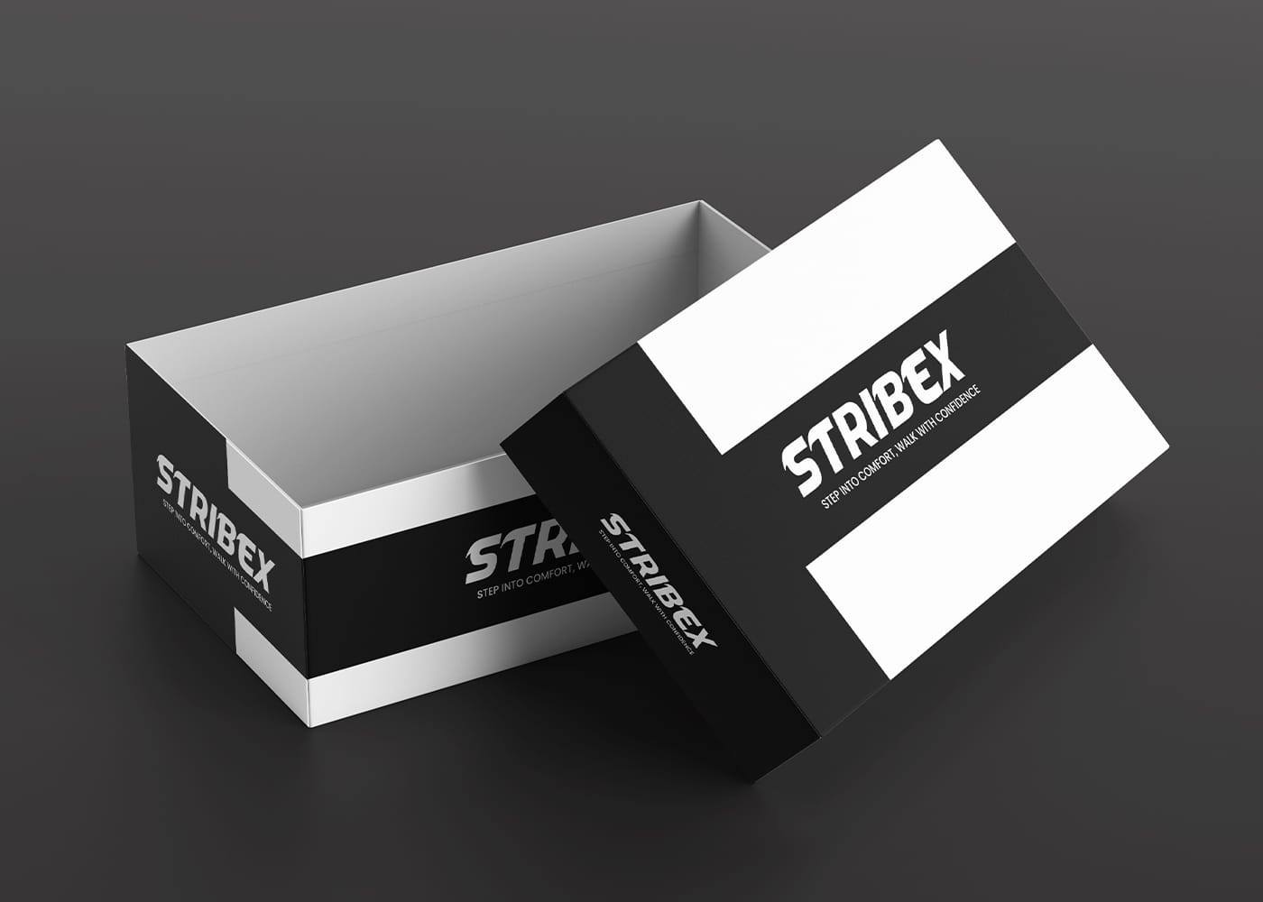 Modern & stylish shoe box packaging design